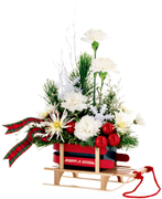 Miami Christmas: A nostalgic glimpse into winters gone by, and a whimsical nod to the child in all of us! Our charming, miniature Christmas Flyer sled is made of beautifully crafted wood, and arrives bearing a splendid helping of holiday cheer