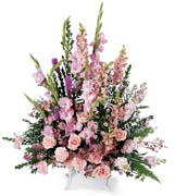 Peaceful Memories arrangement - A beautiful sympathy arrangement featuring flowers in many shades of pink. The handled basket holds pink gladiolus, pink roses, pink snapdragons, pink carnations and more. Appropriate to send to a home or to a funeral. Approx. 39H x 29W 