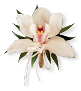 Reserve your 100% NATURAL Prom Boutonniere, Corsage or Wristlet using our Online Form or just Call us 305 - 264 5999. We deliver to your home or you can pick up... Enjoy our customer service...