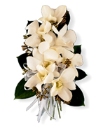 Reserve your 100% NATURAL Prom Boutonniere, Corsage or Wristlet using our Online Form or just Call us 305 - 264 5999. We deliver to your home or you can pick up... Enjoy our customer service...